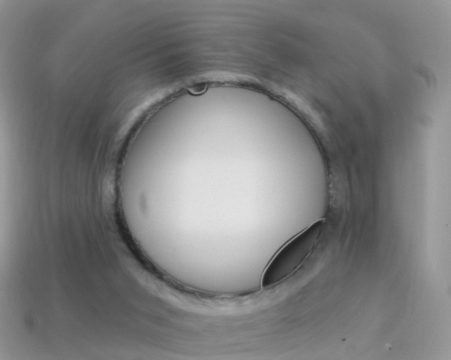 X0000114240015200910091358