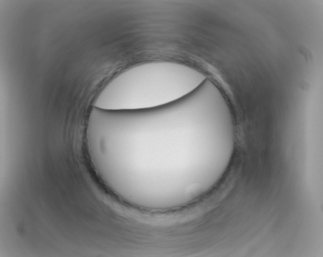 X0000114240018200910091358