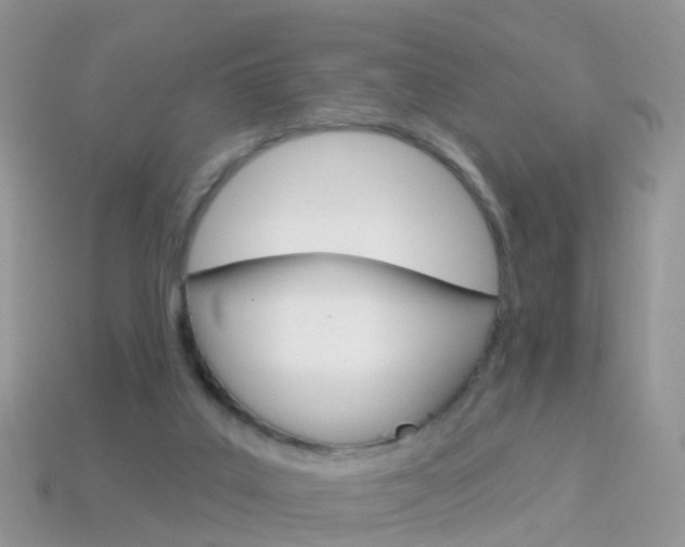 X0000114240019200910091358