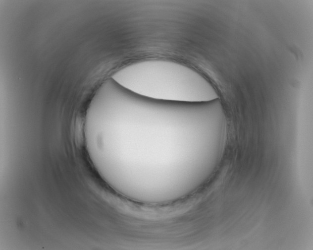 X0000114240022200910091358