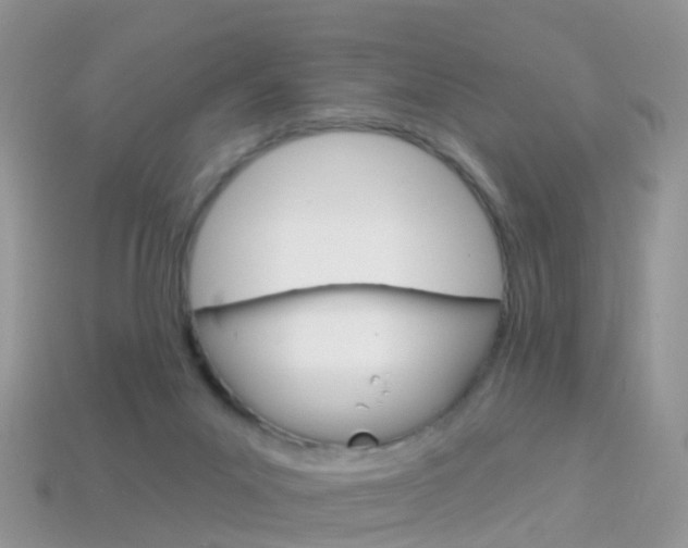 X0000114240023200910091358