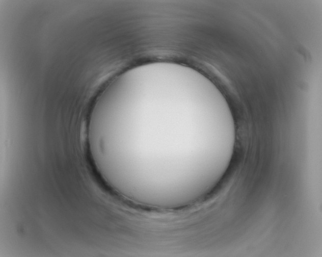X0000114240024200910091358