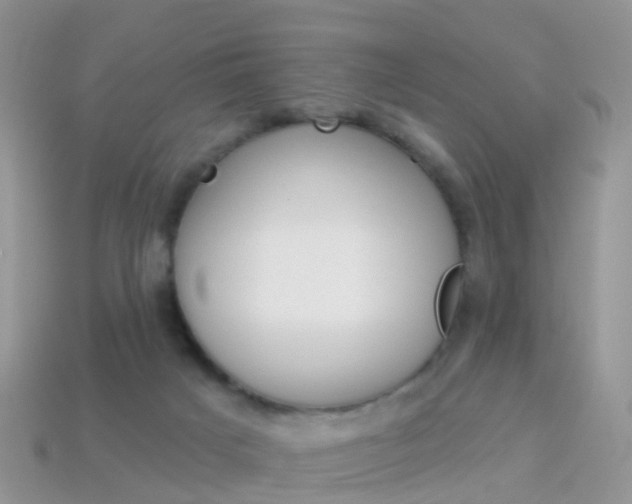 X0000114240025200910091358