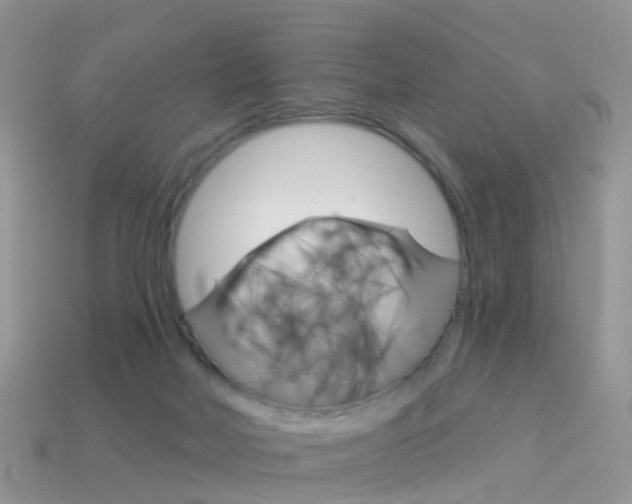 X0000114240026200910091358