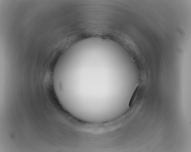X0000114240029200910091358
