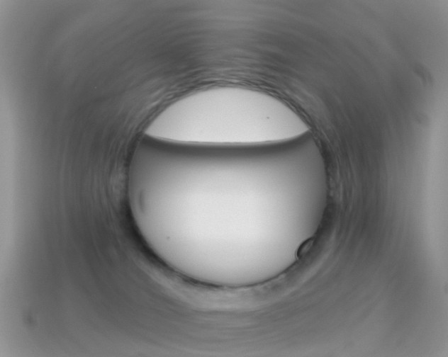 X0000114240036200910091358