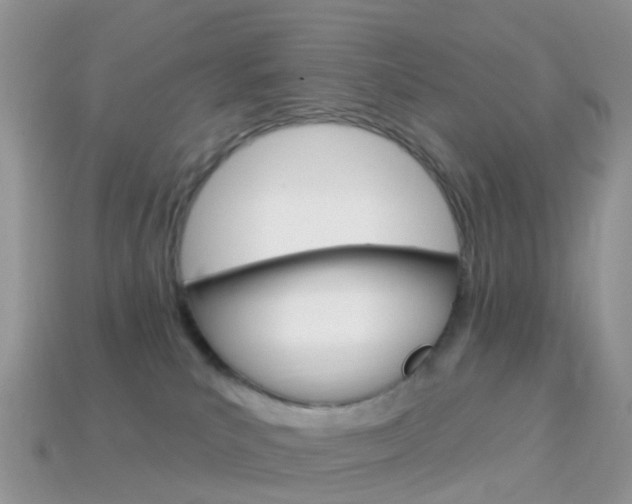 X0000114240039200910091358
