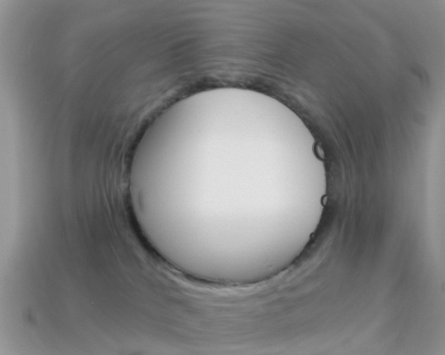 X0000114240040200910091358
