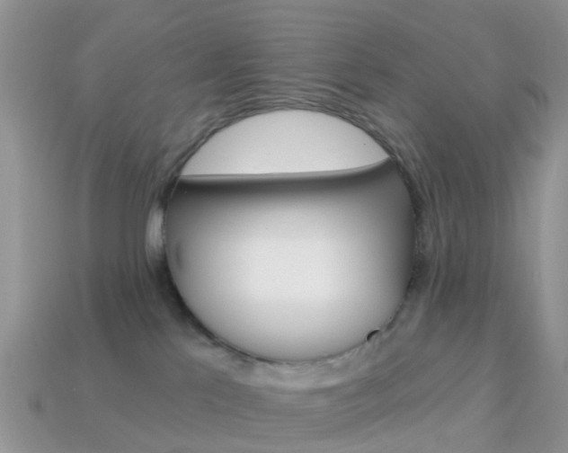 X0000114240041200910091358