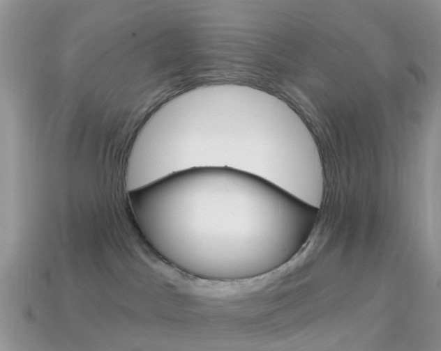 X0000114240045200910091358