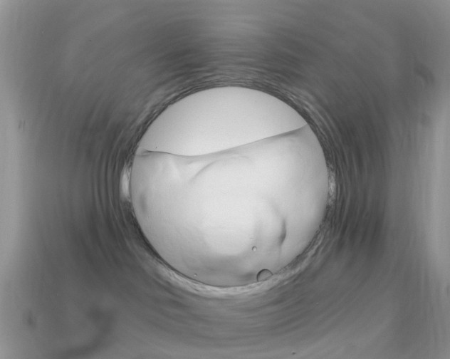 X0000114240046200910091358