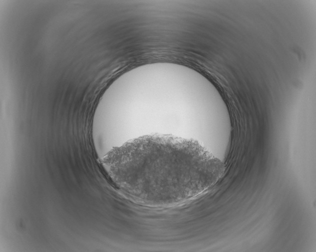 X0000114240048200910091358