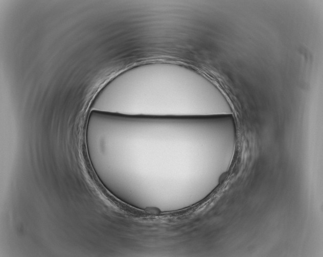 X0000114240049200910091357