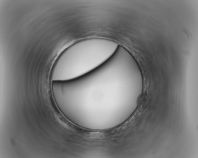 X0000114240050200910091357