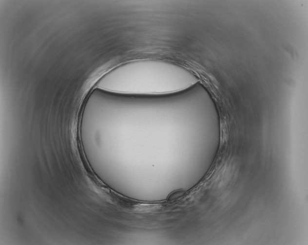 X0000114240051200910091357