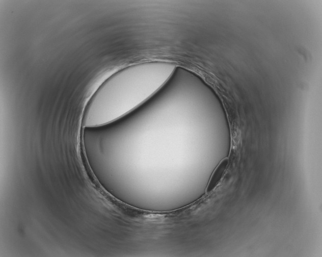 X0000114240052200910091357