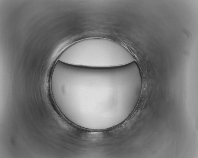 X0000114240053200910091357