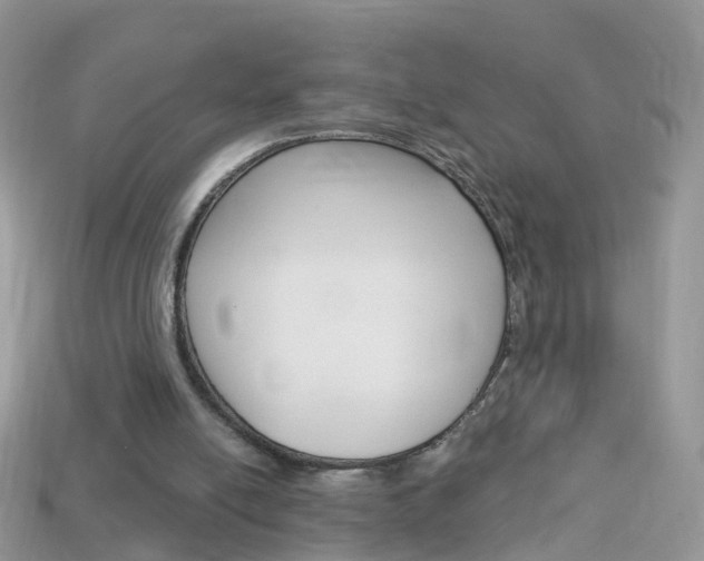 X0000114240054200910091357