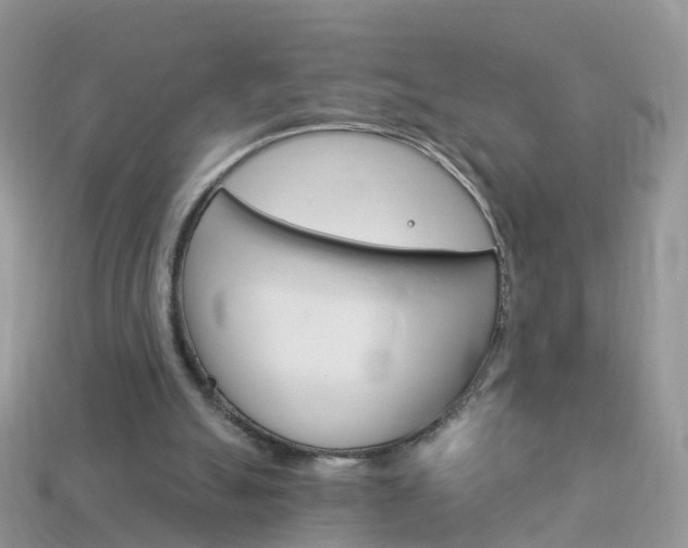 X0000114240055200910091357