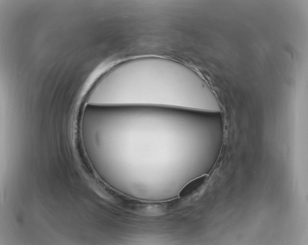 X0000114240056200910091357
