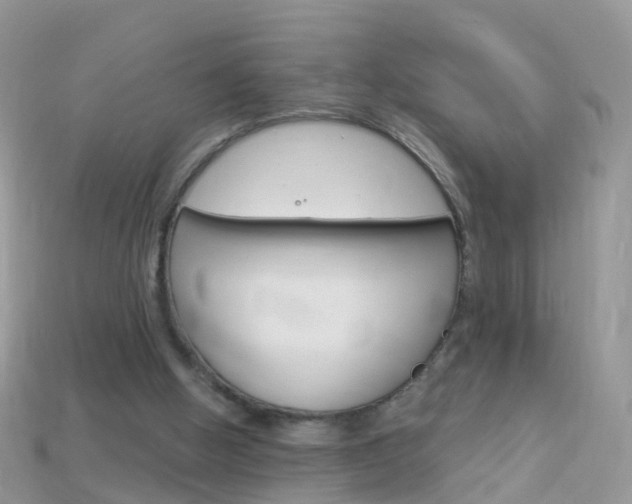 X0000114240058200910091357