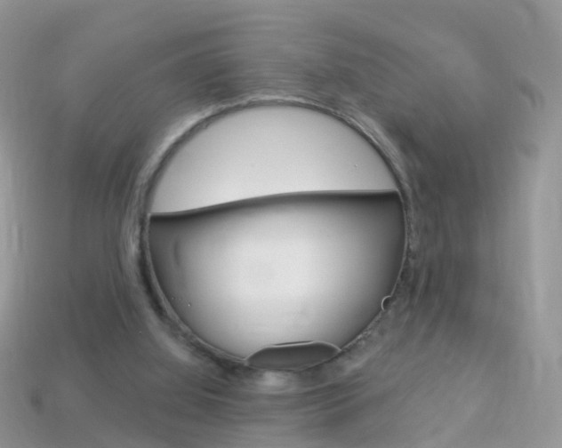 X0000114240060200910091357