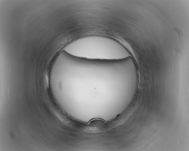X0000114240061200910091357