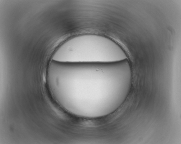 X0000114240062200910091357
