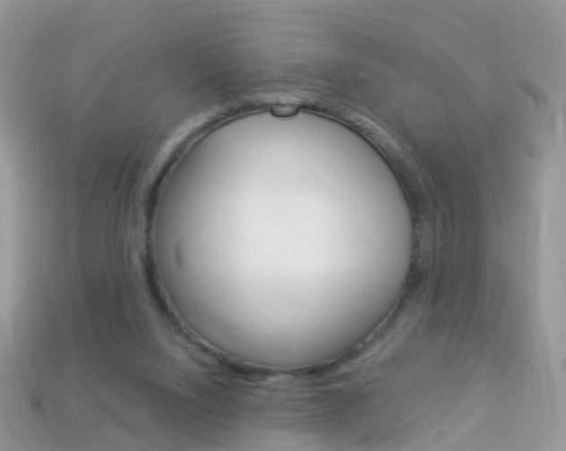 X0000114240064200910091357