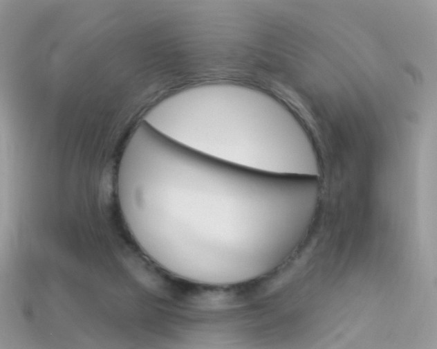 X0000114240065200910091357