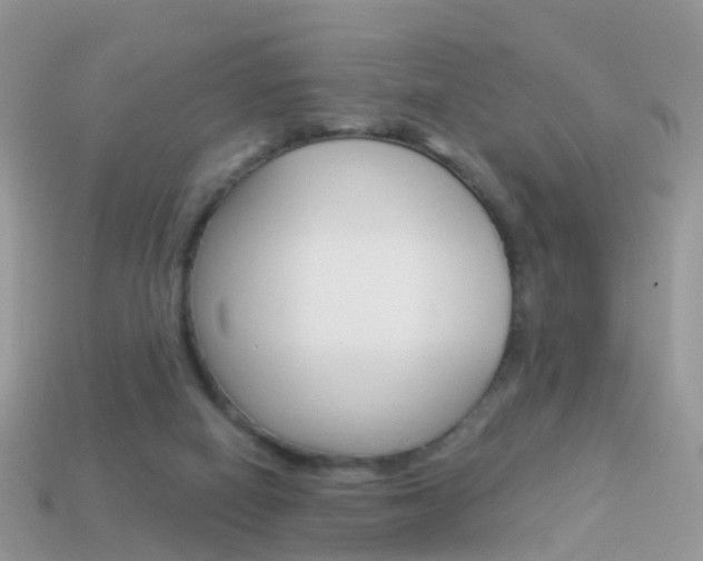 X0000114240066200910091357