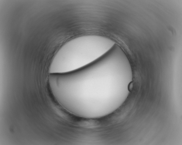 X0000114240069200910091357