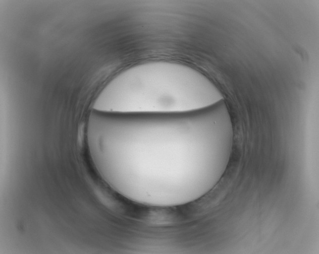 X0000114240070200910091357