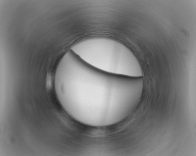 X0000114240075200910091357