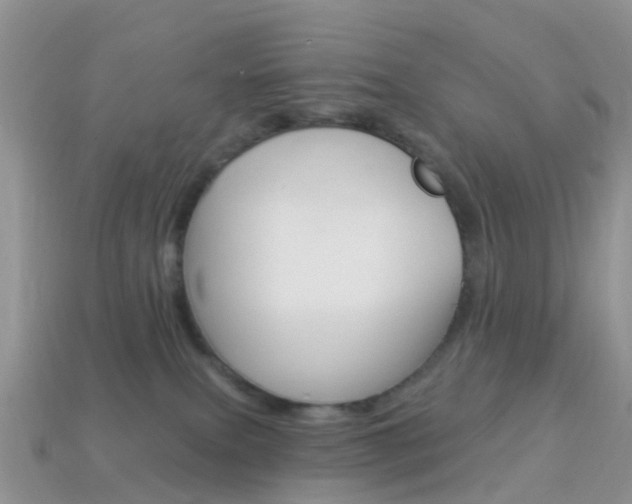 X0000114240087200910091358