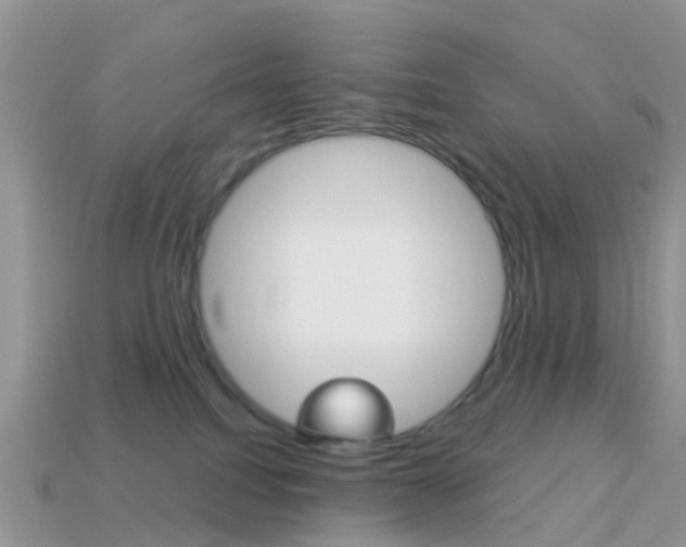 X0000114240088200910091358