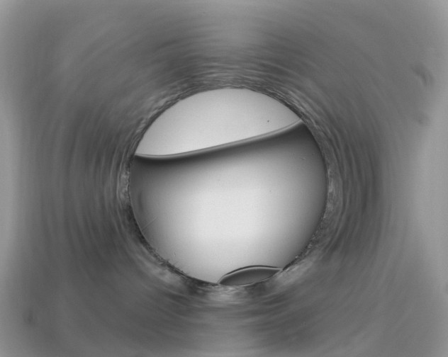 X0000114240096200910091358