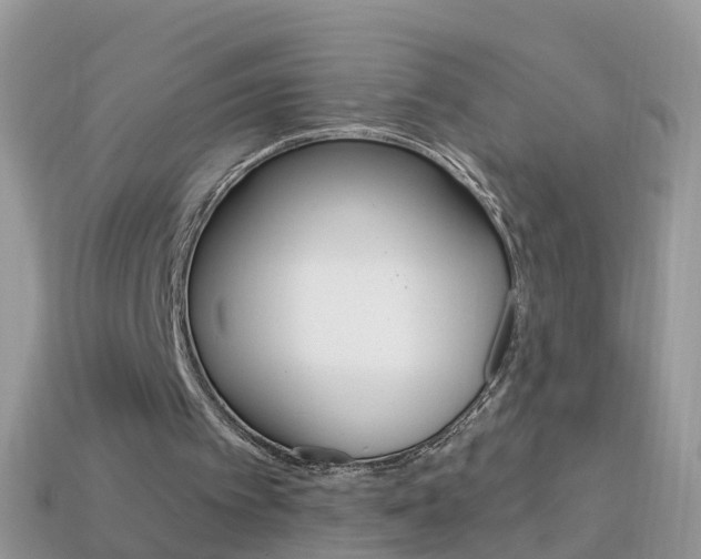 X0000114240097200910091357