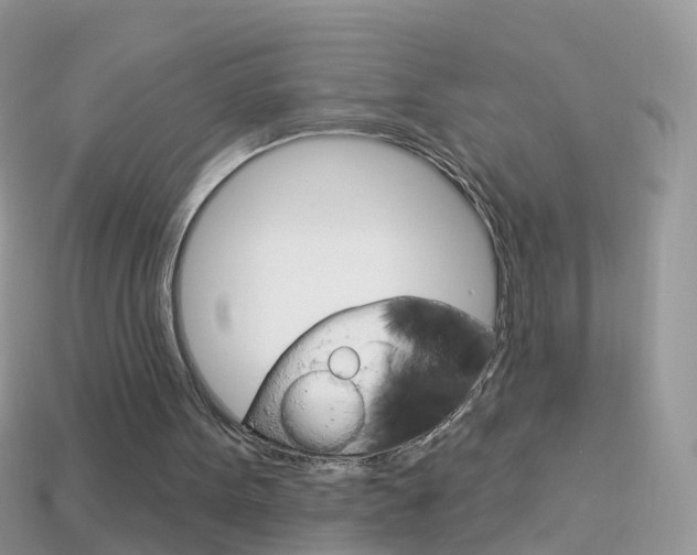 X0000114240099200910091357