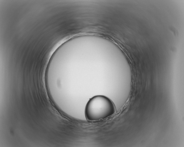 X0000114240100200910091357