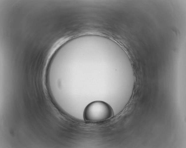 X0000114240104200910091357
