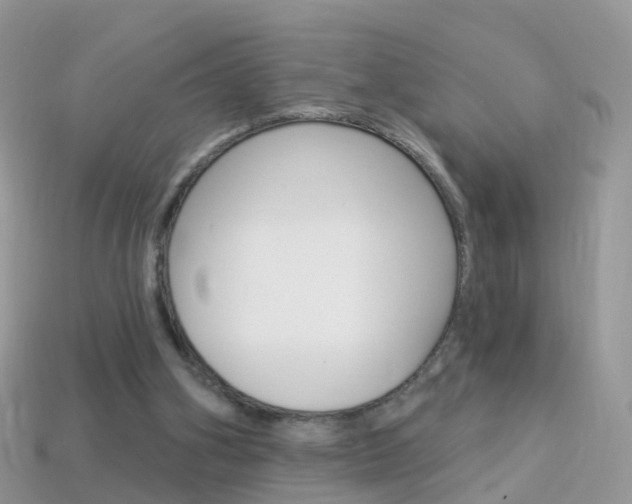 X0000114240106200910091357