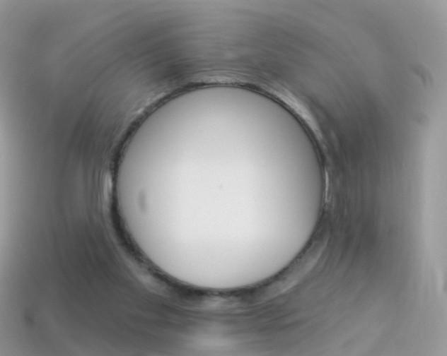 X0000114240109200910091357