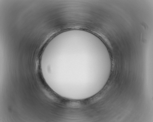 X0000114240110200910091357