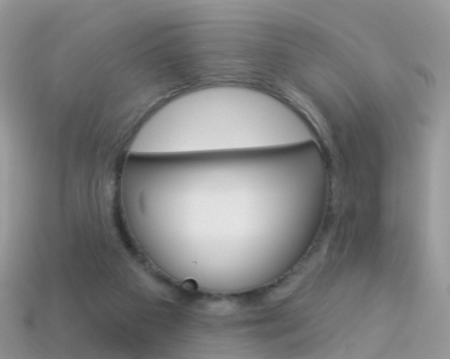 X0000114240113200910091357