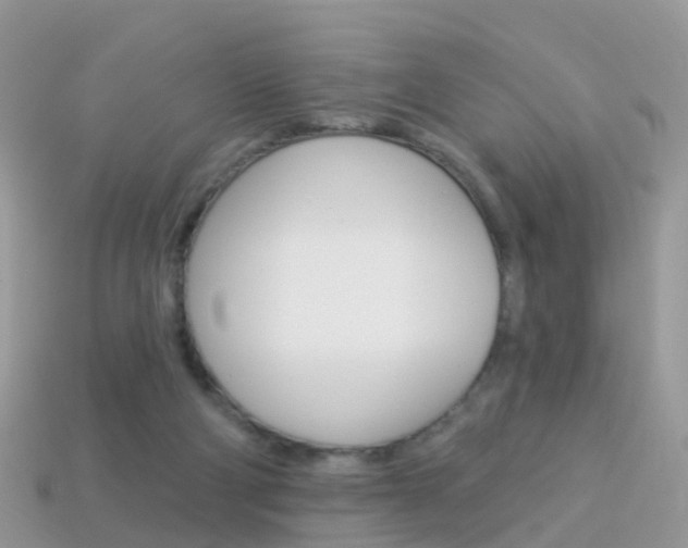 X0000114240114200910091357