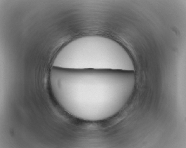 X0000114240115200910091357