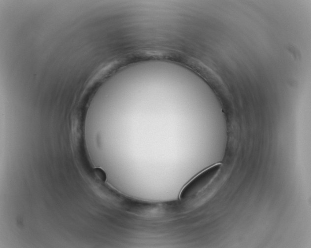 X0000114240116200910091357