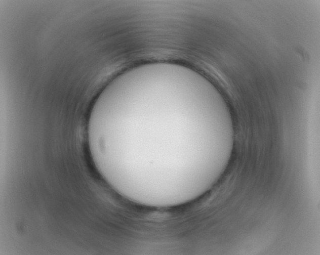 X0000114240119200910091357