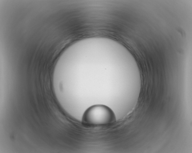 X0000114240120200910091357